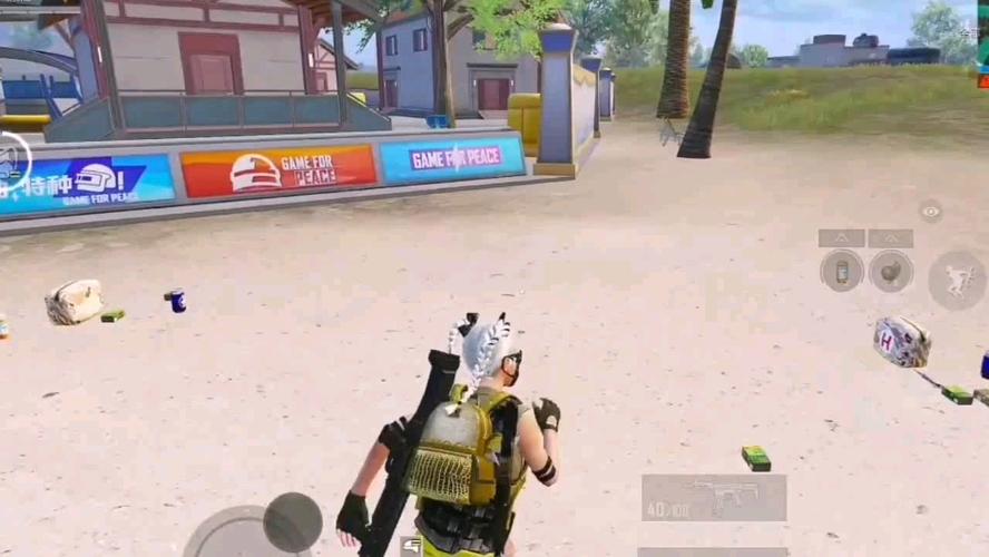 和平精英辅助【DODO】